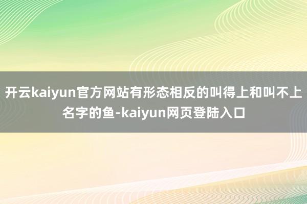 开云kaiyun官方网站有形态相反的叫得上和叫不上名字的鱼-kaiyun网页登陆入口